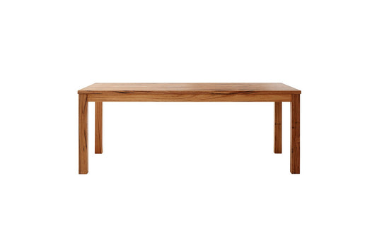 Modern Dining Table